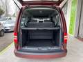 Volkswagen Caddy Caddy 2.0 ecofuel MAXI 7p vettura GARANZIA 24 MESI Rojo - thumbnail 12