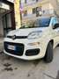 Fiat Panda 0.9 t.air t. natural power Lounge 80cv bijela - thumbnail 11