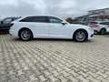 Audi A6 Avant 40 TDI quatt. des.AHK/Matrix/Kamera/18" Weiß - thumbnail 5