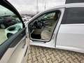 Audi A6 Avant 40 TDI quatt. des.AHK/Matrix/Kamera/18" Weiß - thumbnail 15