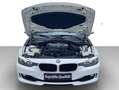 BMW 316 DIESEL**NEUES PICKERL 8/2026**MOD2014 Weiß - thumbnail 24