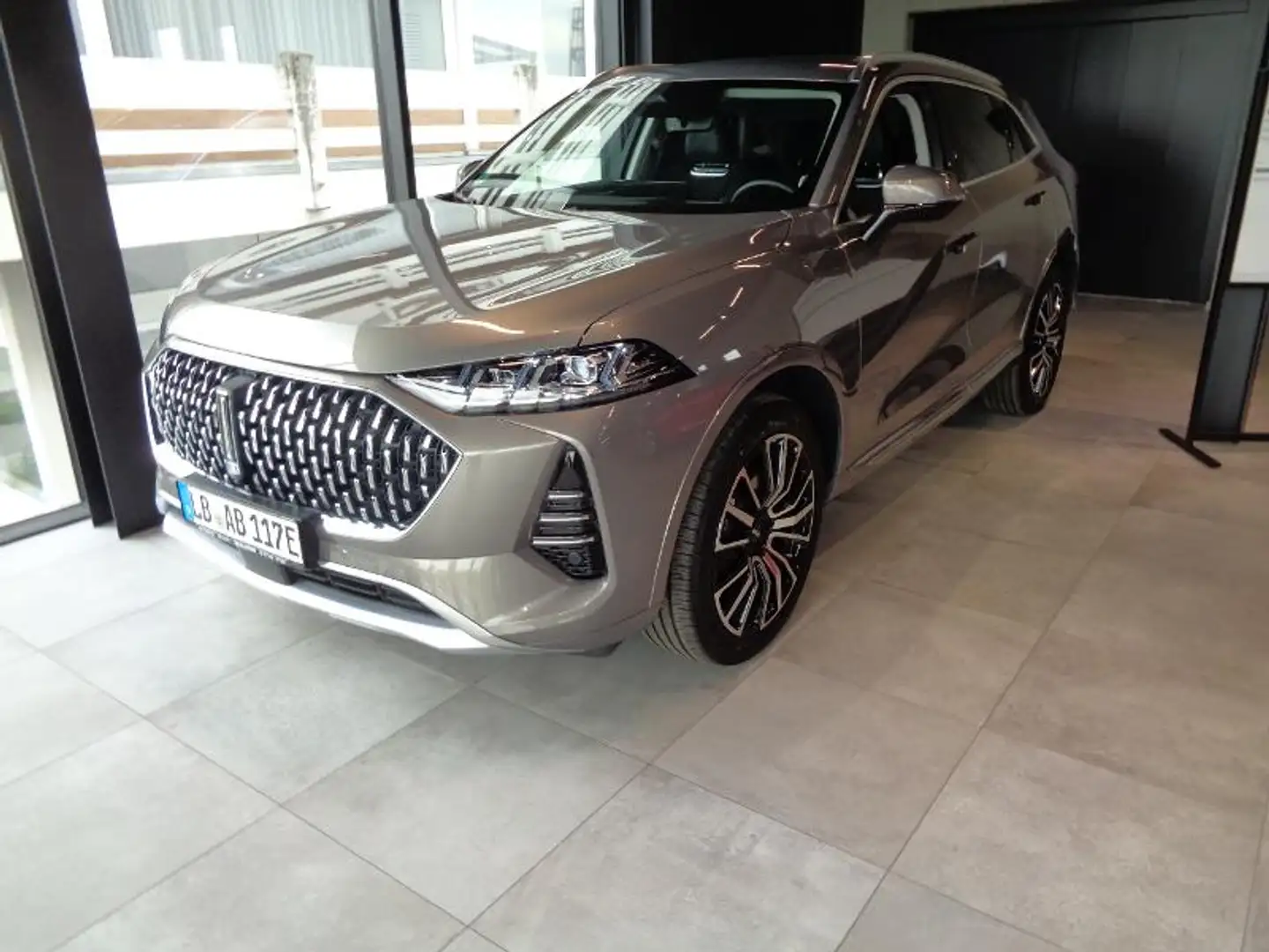 GWM WEY 05 Premium + AHK schwenkbar Grau - 2