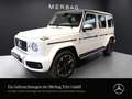 Mercedes-Benz G 63 AMG AMG G 63 *4M Exclusive TRAIL Distro 360 WIDE Bianco - thumbnail 1