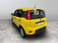 Fiat Panda 1.0 FireFly Hybrid Giallo - thumbnail 3