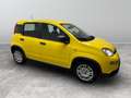 Fiat Panda 1.0 FireFly Hybrid Giallo - thumbnail 7