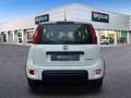 Fiat Panda 1.0 Gse Hybrid Blanco - thumbnail 6