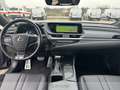 Lexus ES 300 300h 2.5 f sport cvt Gri - thumbnail 10