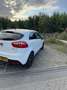 Kia Rio 1.2 CVVT Design Edition Wit - thumbnail 8