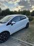 Kia Rio 1.2 CVVT Design Edition Wit - thumbnail 3