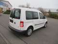 Volkswagen Caddy 1,2TSI JAKO-O *2xSchiebet.*Sitzh.*Climatr Blanco - thumbnail 3