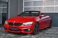 BMW 428 i Cabrio M Sport Aut. Pickerl NEU Rot - thumbnail 1