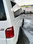 Volkswagen T6 Multivan Multivan DSG Kurz 4MOTIONHighline Weiß - thumbnail 15
