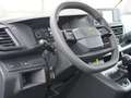 Fiat Scudo Pritsche 2.0 145 verzinkter Aufbau Schutz Blanc - thumbnail 11
