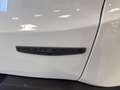 Jeep Renegade Renegade 1.0 T3 Night Eagle Bianco - thumbnail 18