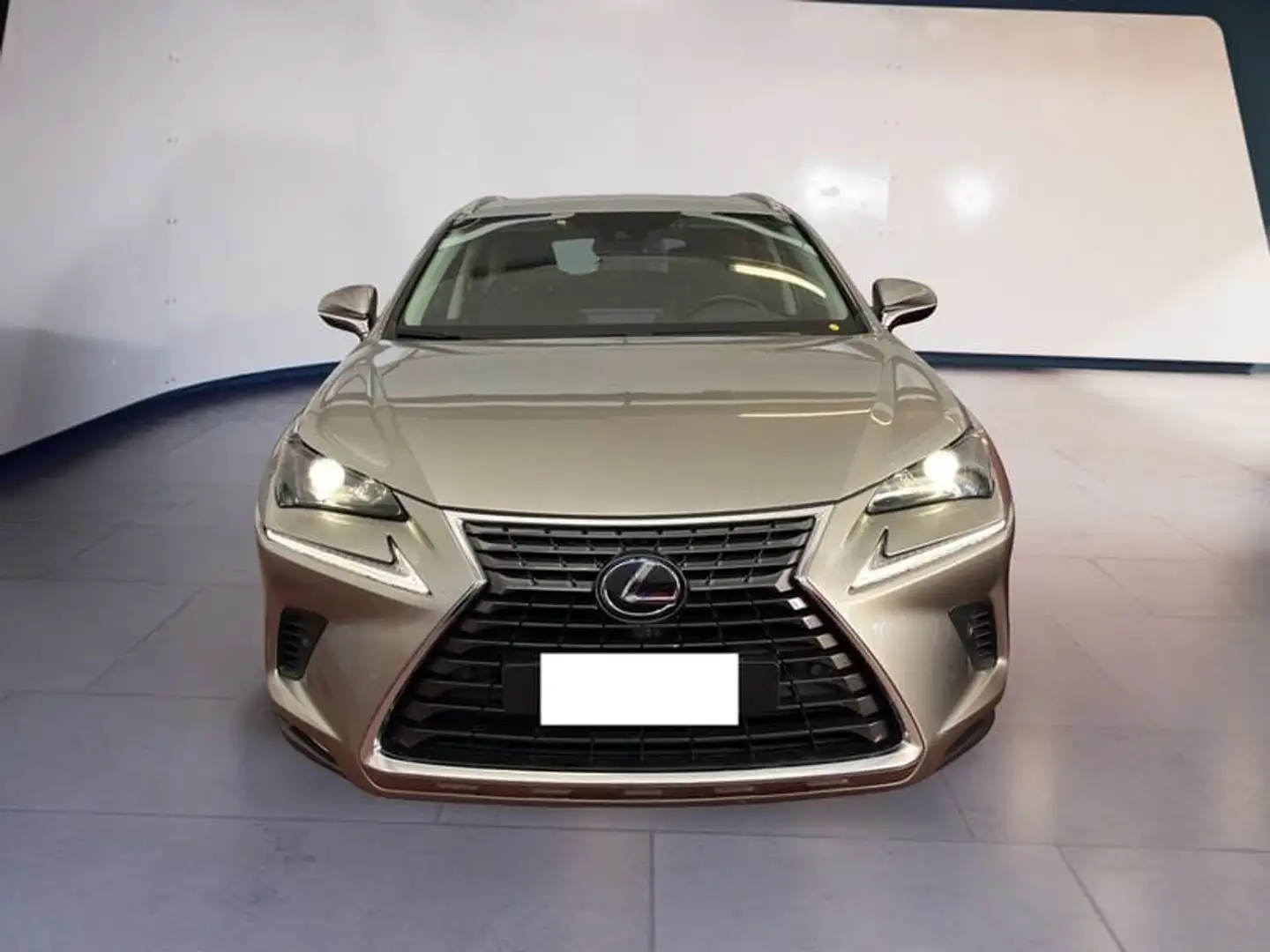 Lexus NX 300h I 2018 300h 2.5 Premium 4wd cvt Argent - 1