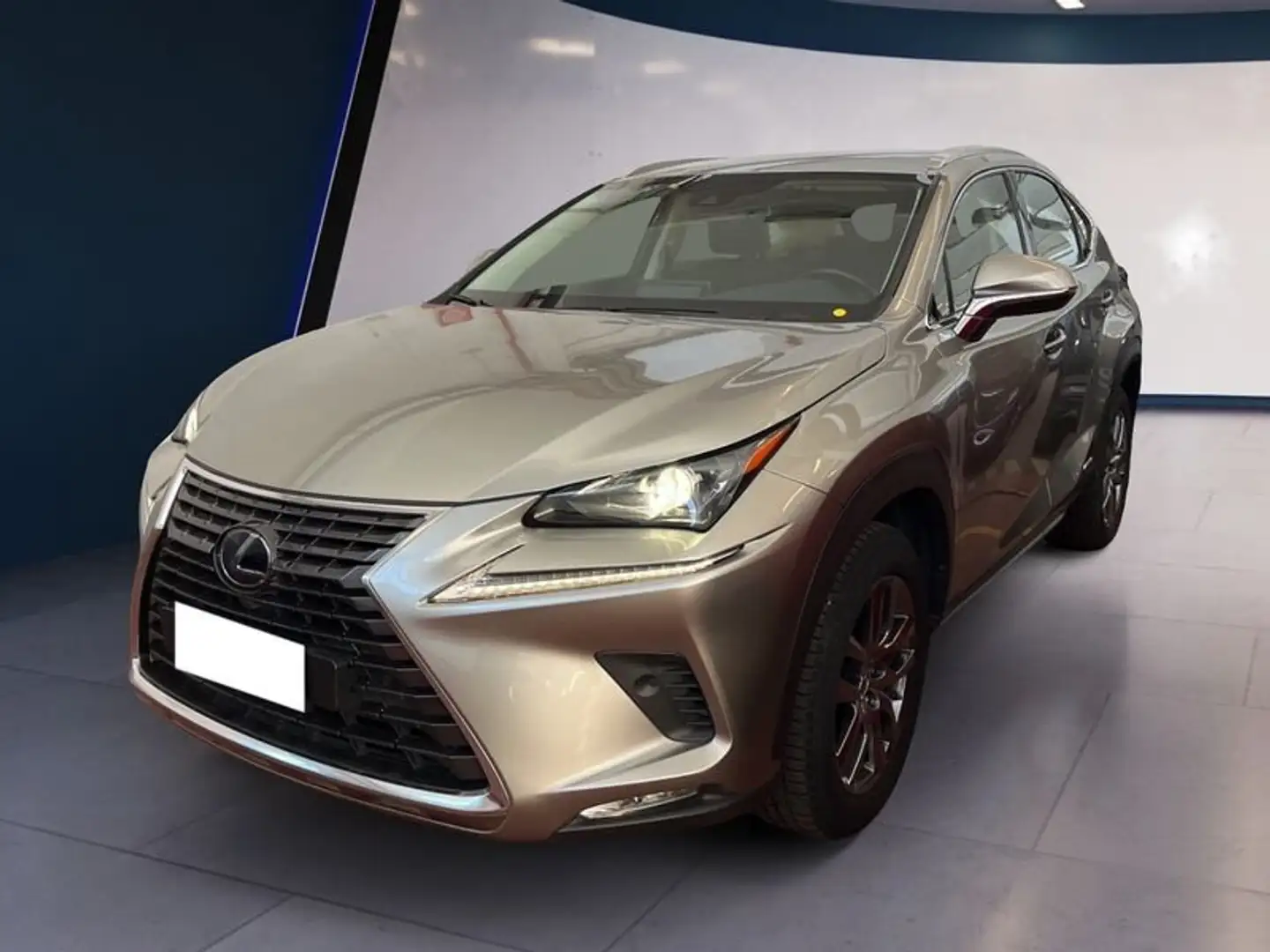 Lexus NX 300h I 2018 300h 2.5 Premium 4wd cvt Argent - 2