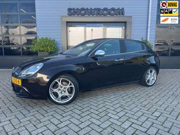 1.4 T Business Executive AUTOMAAT|PDC|LEDER|APPLEC