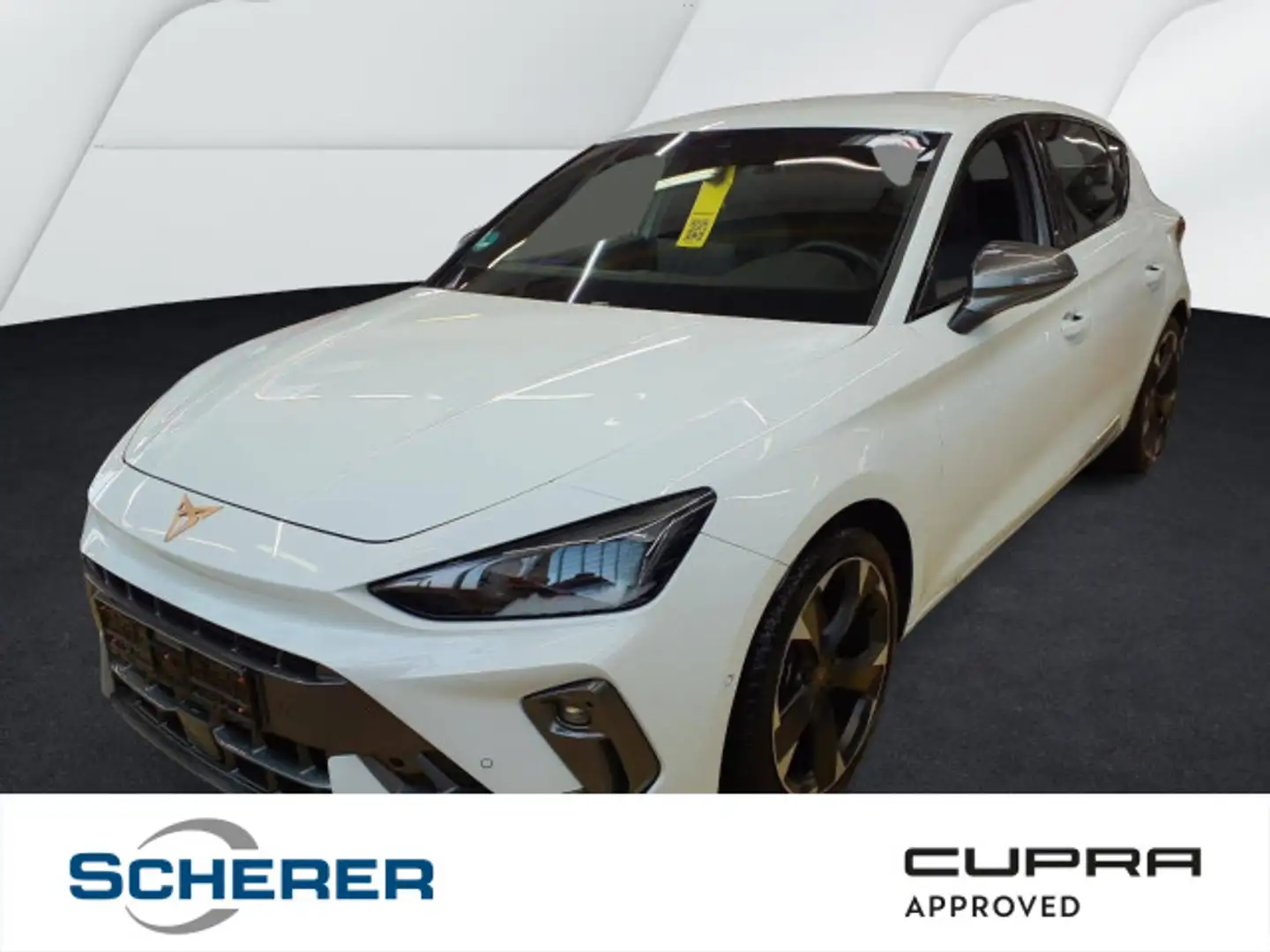 CUPRA Leon 1.5 eTSI Navi, ACC, Kessy, RFK, ISA, IPA Weiß - 1