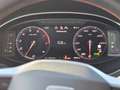 SEAT Ibiza 1.0 TSI FR DSG, GZJ, SHZ, NAVI Grau - thumbnail 13