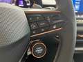 CUPRA Terramar VZ 2.0 TSI 4Drive Matrix,Sound,20-Zoll Noir - thumbnail 33