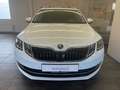 Skoda Octavia Combi Style*AUT/Navi/ALU/Leder/Sitzhzg.* Weiß - thumbnail 2