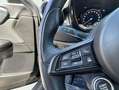 Alfa Romeo Tonale 1.6 DS Sprint FWD Gris - thumbnail 17