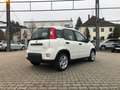 Fiat New Panda 1.0 Hybrid *5 Sitzer Klima Komfort* Beyaz - thumbnail 3