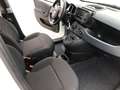 Fiat New Panda 1.0 Hybrid *5 Sitzer Klima Komfort* Fehér - thumbnail 11