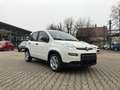 Fiat New Panda 1.0 Hybrid *5 Sitzer Klima Komfort* Blanc - thumbnail 4
