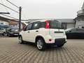 Fiat New Panda 1.0 Hybrid *5 Sitzer Klima Komfort* Weiß - thumbnail 2
