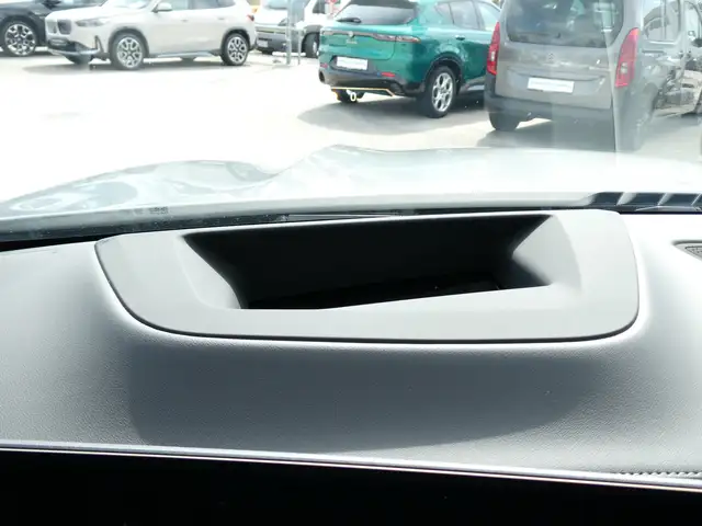 BMW X6 xDrive30d Ansicht 19