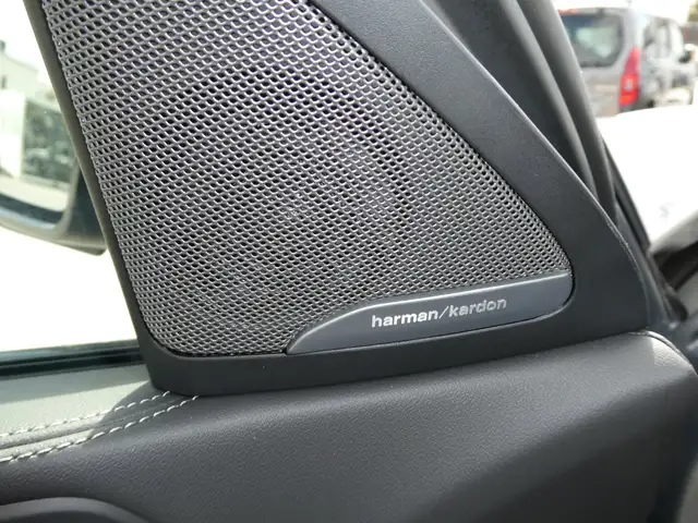 BMW X6 xDrive30d Ansicht 17