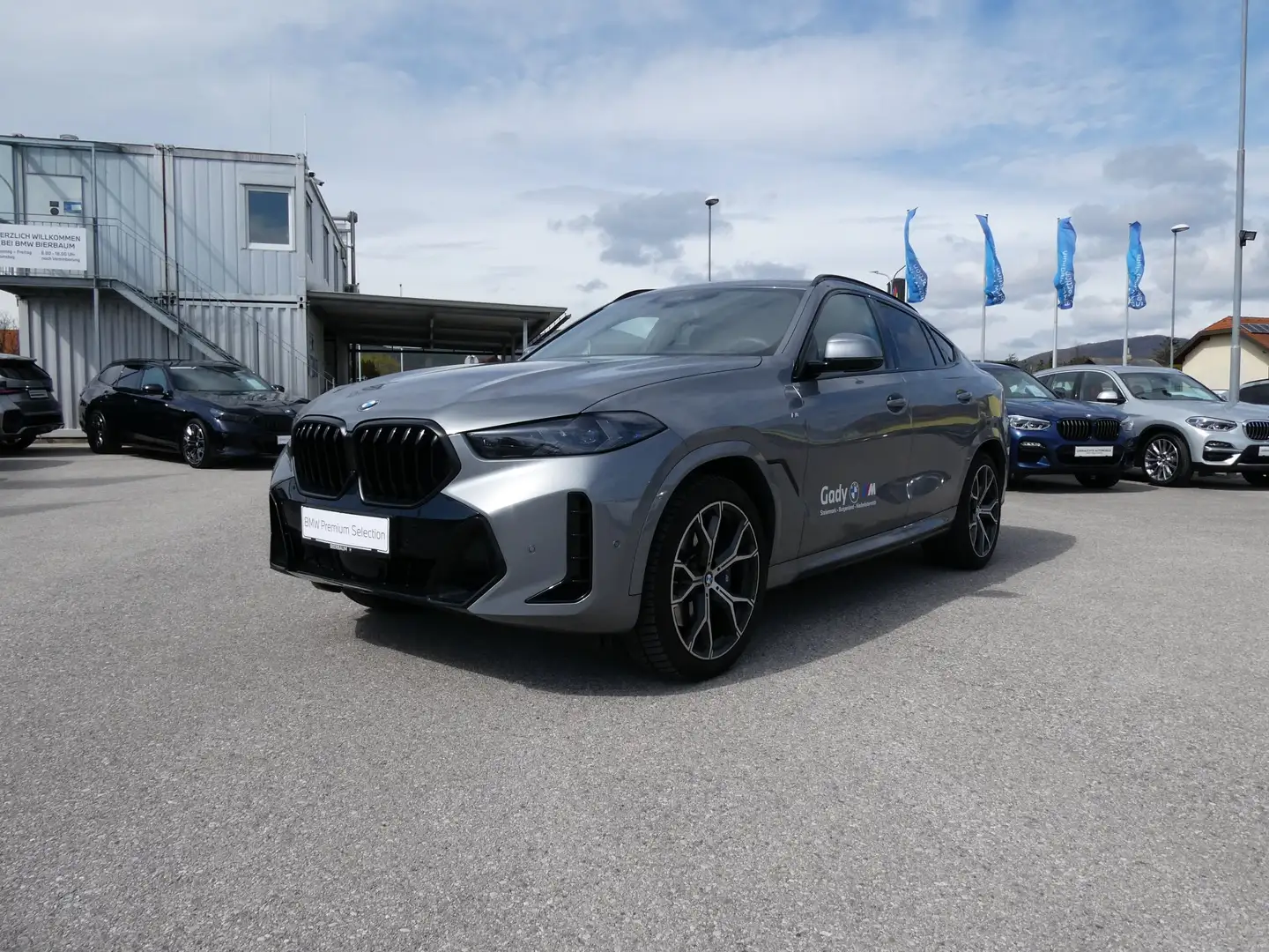 BMW X6 xDrive30d Grau - 1