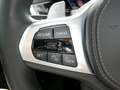 BMW X6 xDrive30d Grau - thumbnail 21