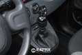 Fiat Panda 1.0 Firefly Hybrid 70CV City Life Grigio - thumbnail 15