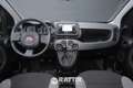 Fiat Panda 1.0 Firefly Hybrid 70CV City Life Grigio - thumbnail 8