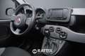Fiat Panda 1.0 Firefly Hybrid 70CV City Life Grigio - thumbnail 13