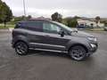Ford EcoSport 1.0 EcoBoost 125ch ST-Line Euro6.2 Grijs - thumbnail 3