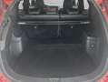 Mitsubishi Outlander Outlander 2.4 4WD Plug-In Hybrid Plus *AHK* Roşu - thumbnail 5
