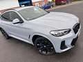 BMW X4 X4 xDrive30d Aut. Grau - thumbnail 3