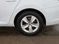 Skoda Superb Combi 2.0 TDI Ambition Aut LED AHK R-CAM Blanc - thumbnail 23