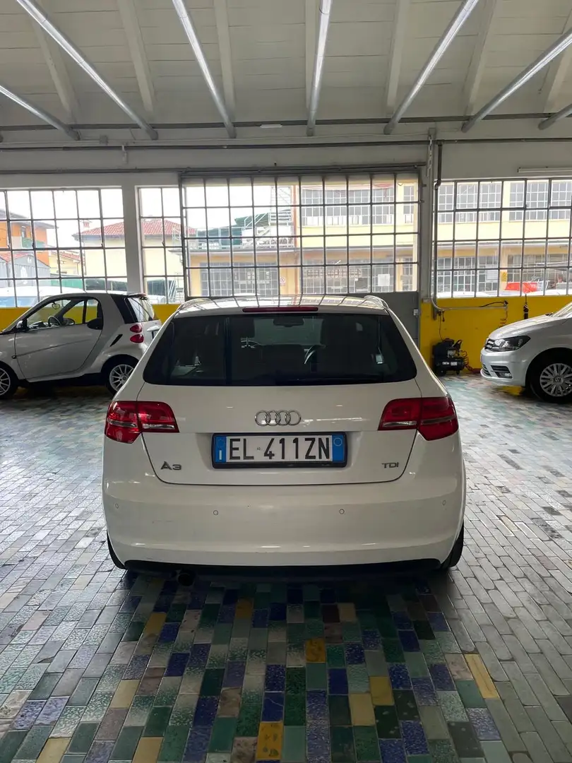 Audi A3 Sportback 2.0 tdi Ambition s-tronic TAGLIANDICERTI - 2