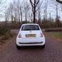 Fiat 500 0.9 TwinAir White - thumbnail 4