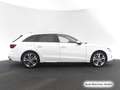 Audi A4 allroad A4 allroad 45 TFSI qu. S tronic AHK/Pano/Matrix/ Weiß - thumbnail 6