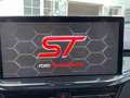 Ford Focus ST X Vert - thumbnail 15