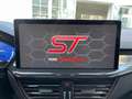 Ford Focus ST X Grün - thumbnail 20