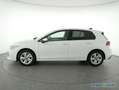 Volkswagen Golf 8 Life 1.5 TSI Navi HUD LED SiHz Blanco - thumbnail 14