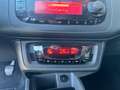 SEAT Ibiza Ibiza 5p 1.4-DISTRIBUZIONE FATTA-NEOPATENATO OK Noir - thumbnail 11