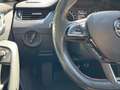Skoda Octavia Skoda Octavia RS 4x4 DSG Grau - thumbnail 6