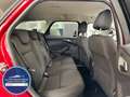 Ford Focus Turnier SYNC *NEU ZAHNRIEMEN+SERVICE* Rouge - thumbnail 13